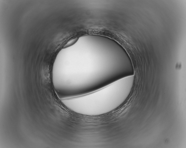 X0000091171252200708091016