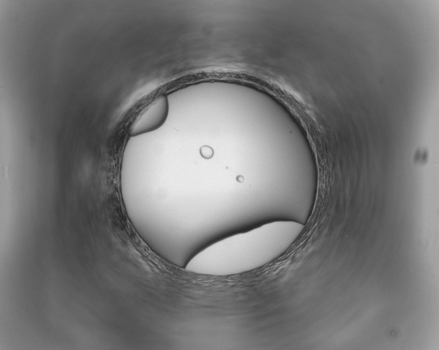 X0000091171255200708091016