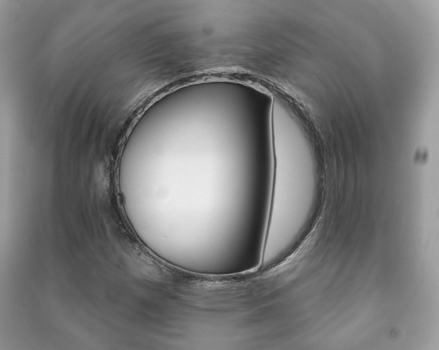 X0000091171257200708091016