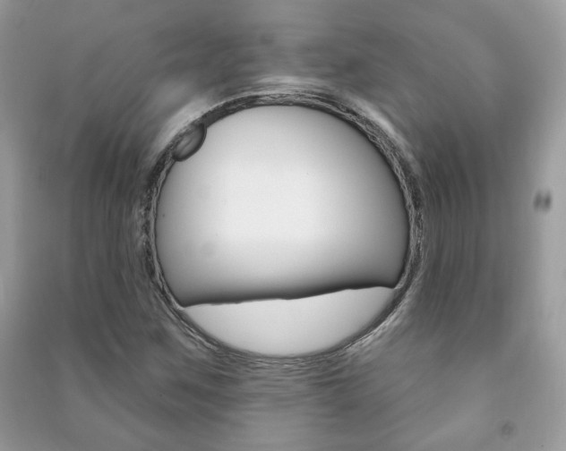 X0000091171259200708091016