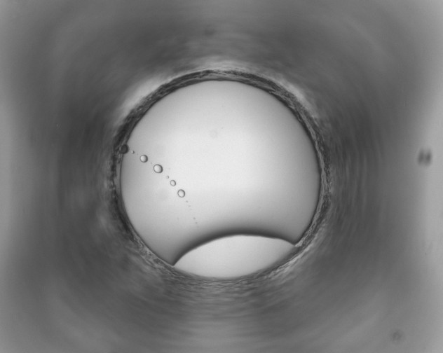 X0000091171263200708091016