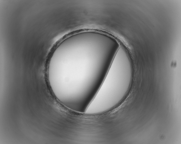 X0000091171264200708091016