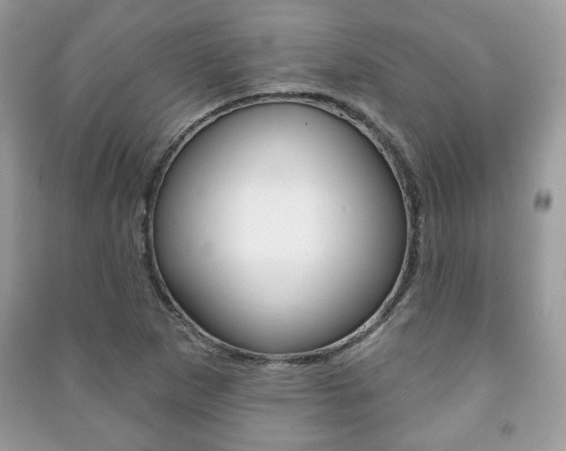 X0000091171265200708091016