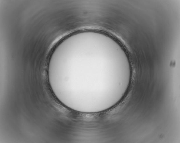 X0000091171266200708091016