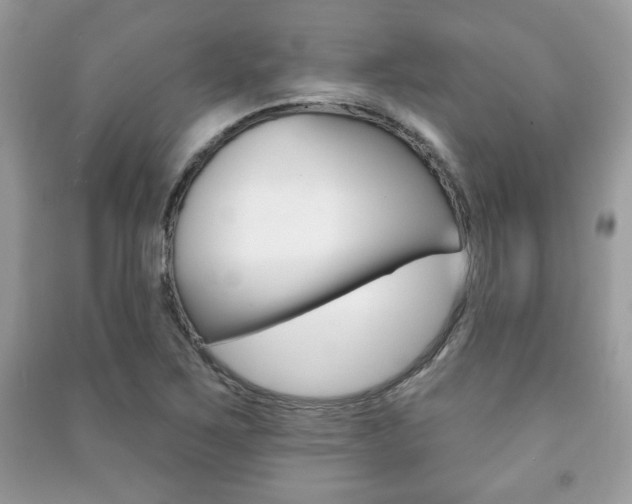 X0000091171267200708091016