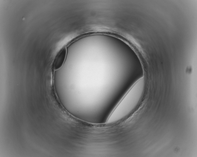X0000091171269200708091016