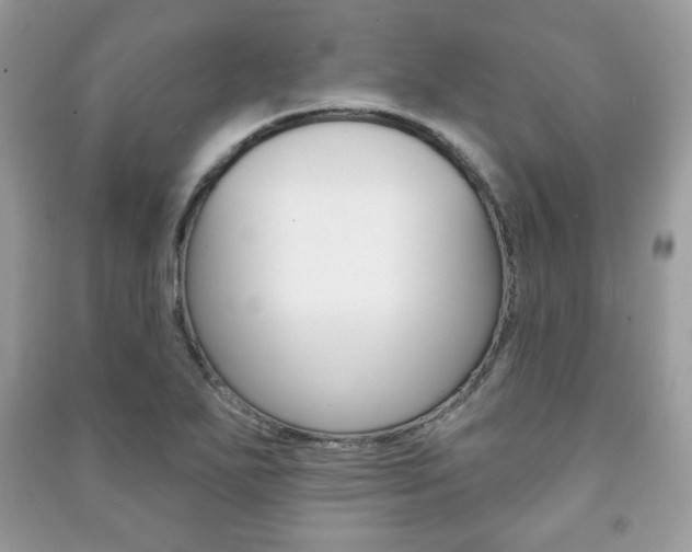 X0000091171271200708091016