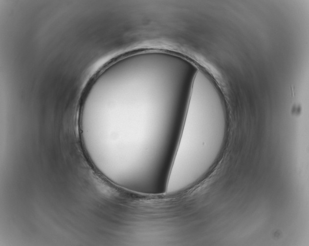 X0000091171272200708091016