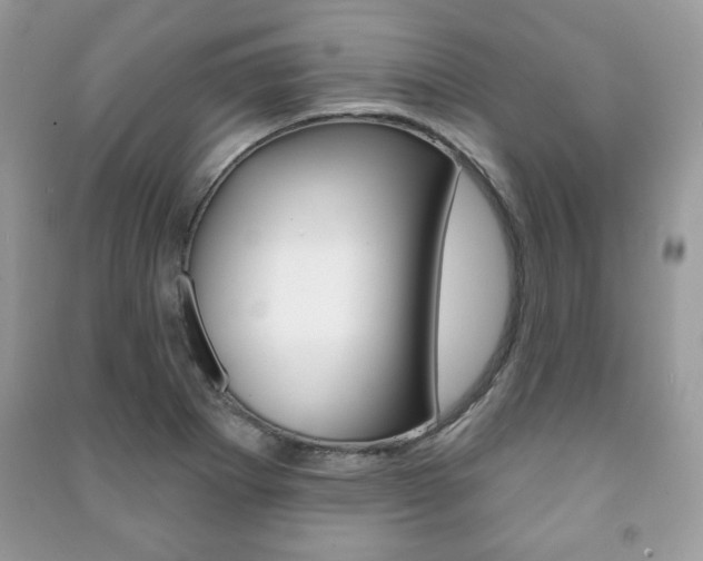 X0000091171273200708091016