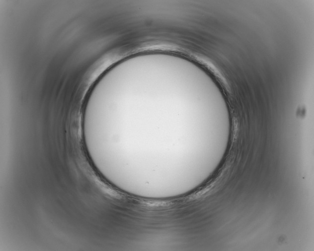 X0000091171274200708091016