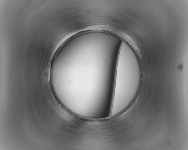X0000091171276200708091016