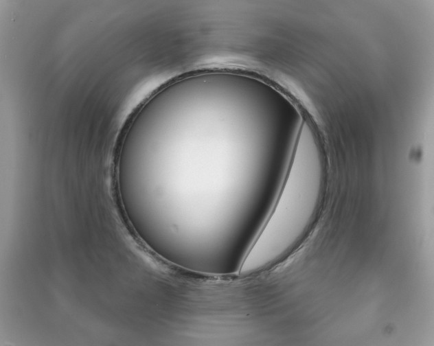 X0000091171277200708091016