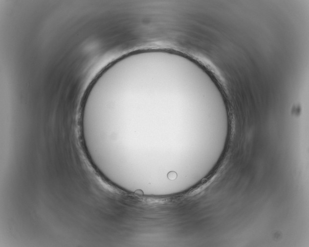 X0000091171278200708091016