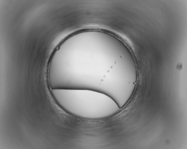 X0000091171279200708091016