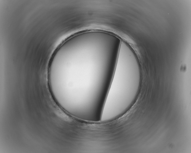 X0000091171280200708091016