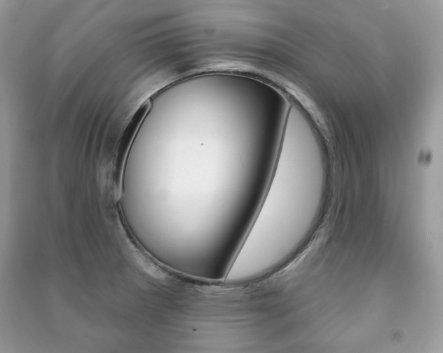 X0000091171281200708091016