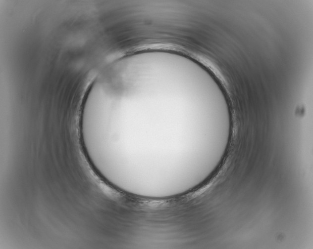 X0000091171282200708091016