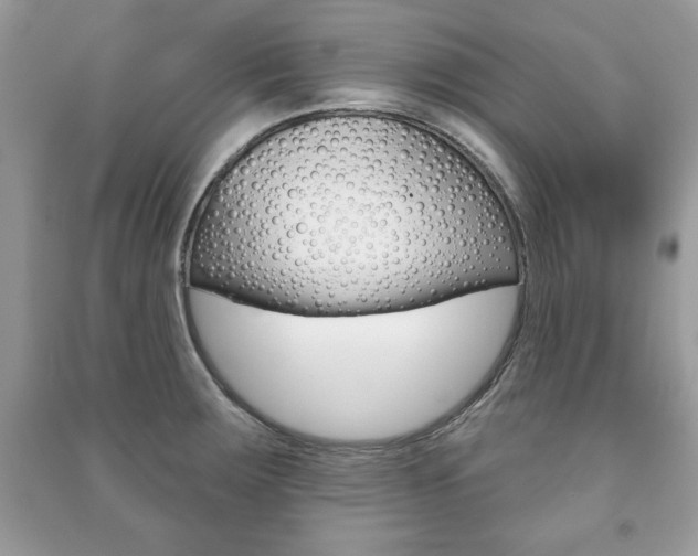 X0000091171283200708091016