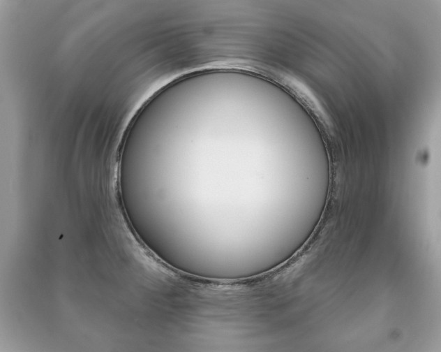 X0000091171284200708091016