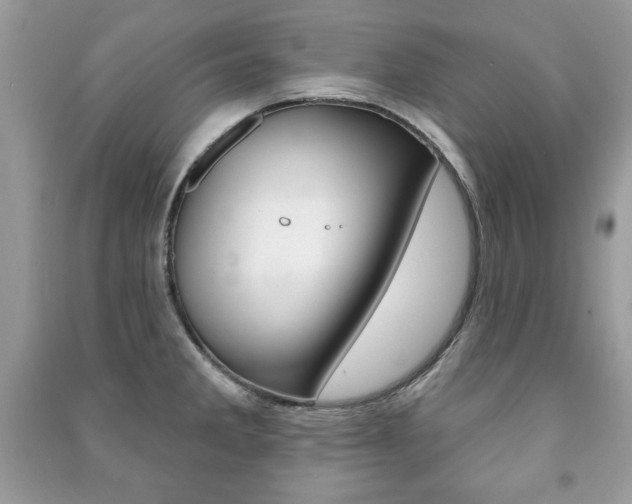 X0000091171285200708091016