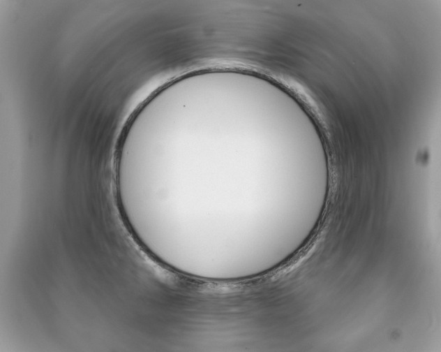 X0000091171286200708091016