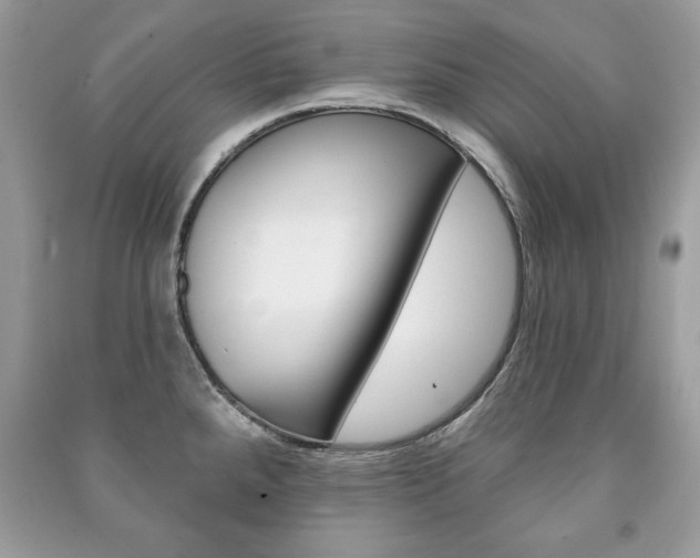 X0000091171288200708091016