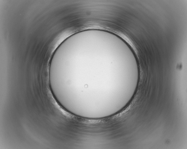 X0000091171290200708091016
