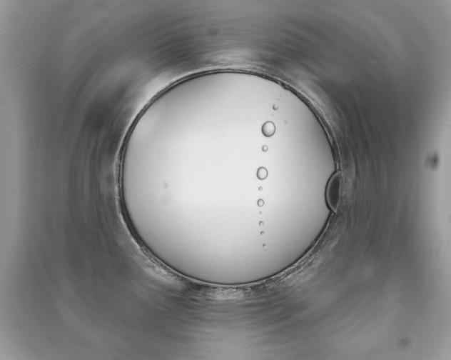 X0000091171291200708091016