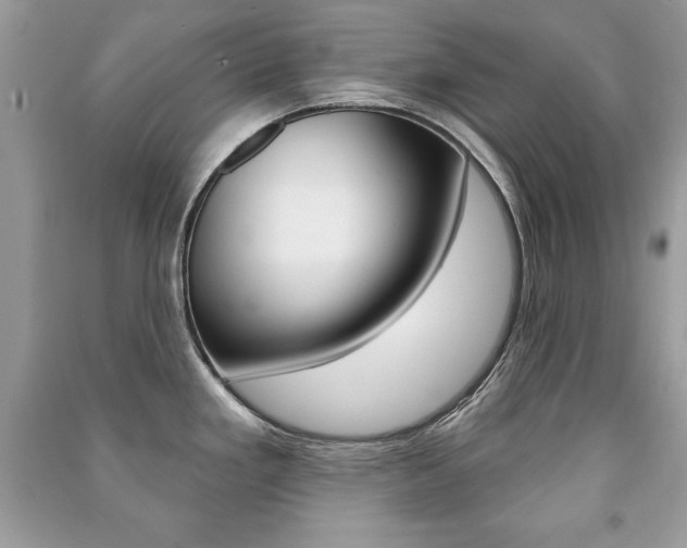 X0000091171293200708091016