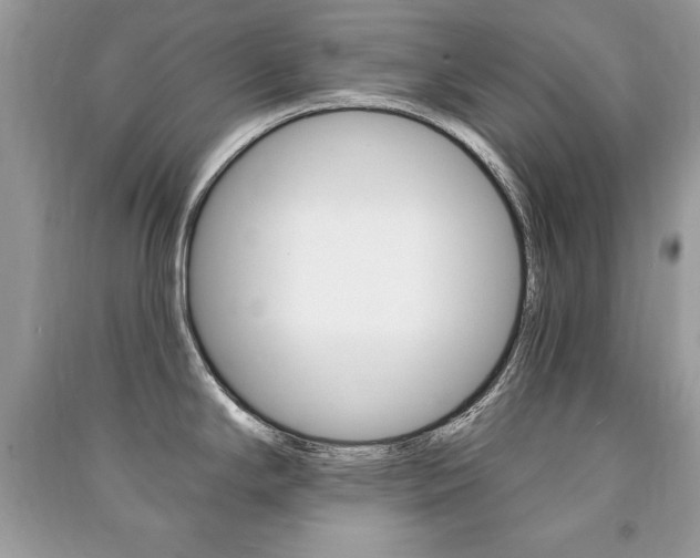 X0000091171294200708091016