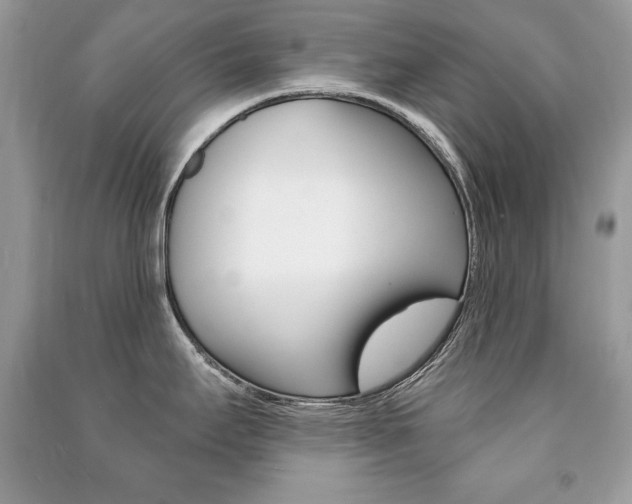 X0000091171295200708091016