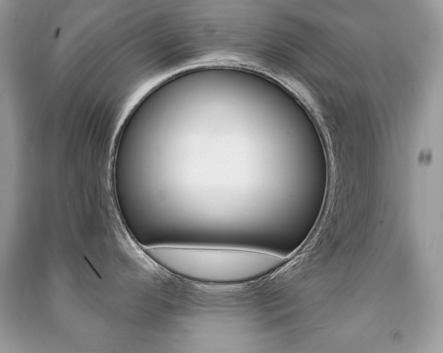 X0000091171296200708091016