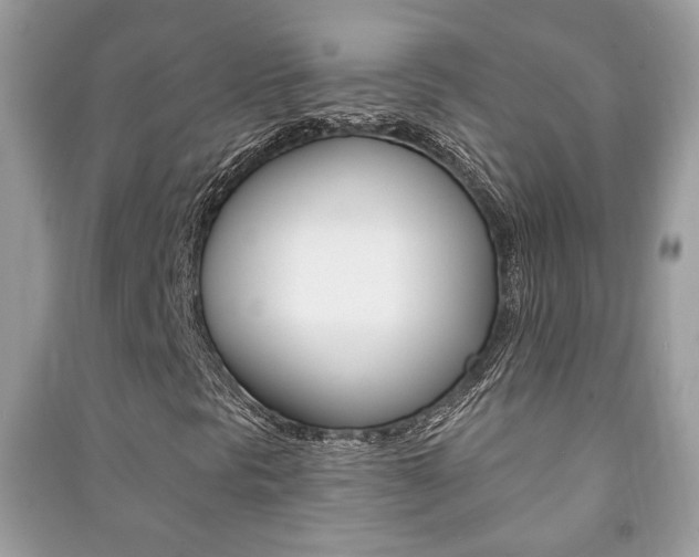 X0000091171297200708091015