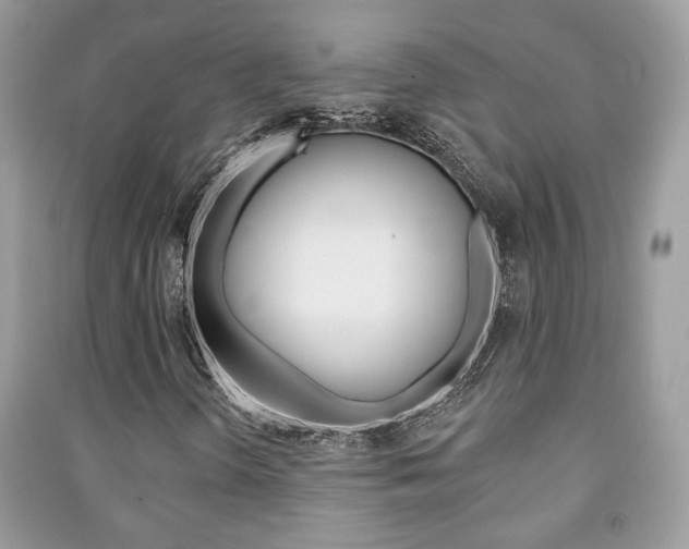 X0000091171298200708091015