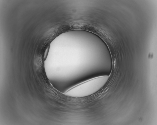 X0000091171299200708091015