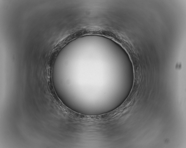 X0000091171301200708091015