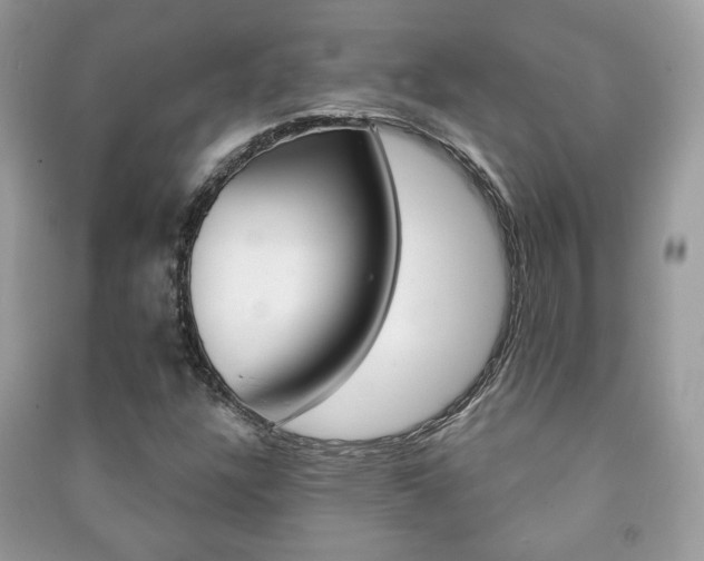 X0000091171304200708091015