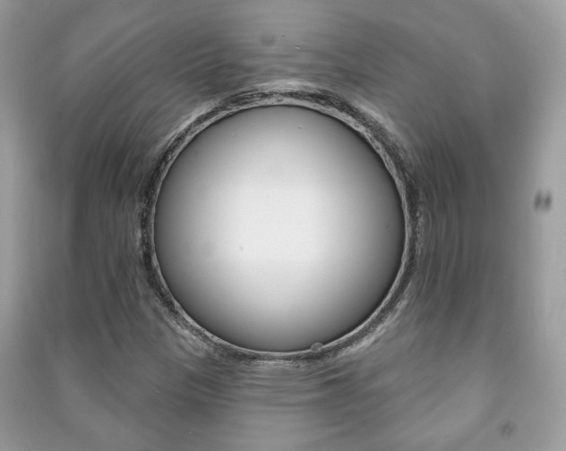X0000091171305200708091015