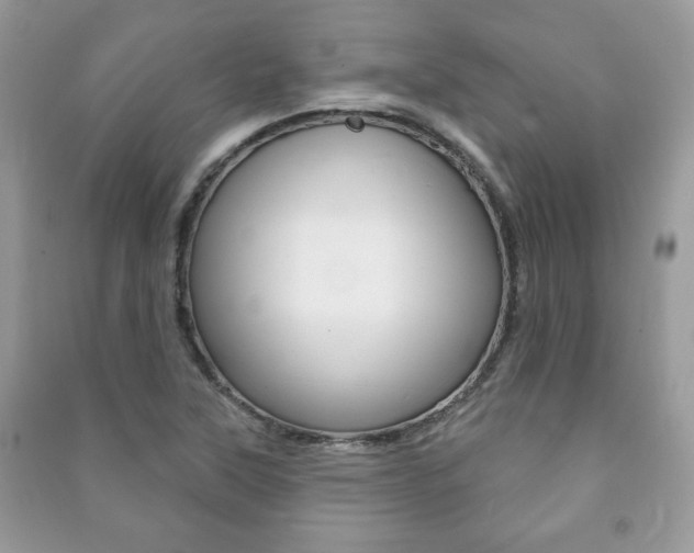 X0000091171315200708091015