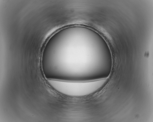 X0000091171316200708091015