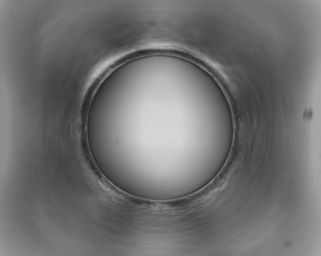 X0000091171319200708091015