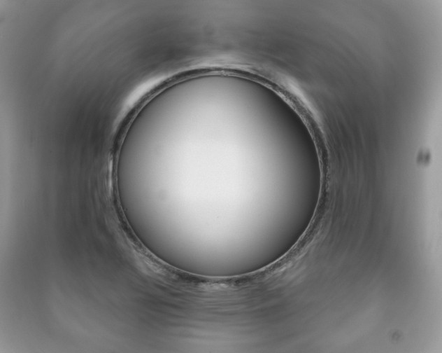 X0000091171320200708091015