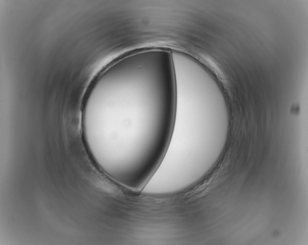 X0000091171324200708091015