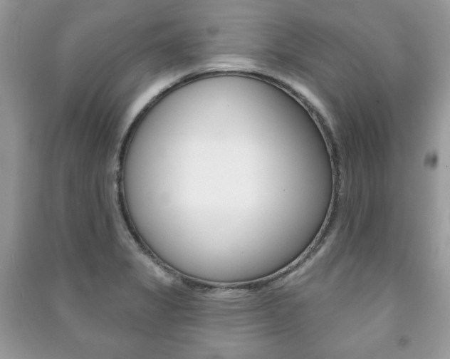X0000091171325200708091015