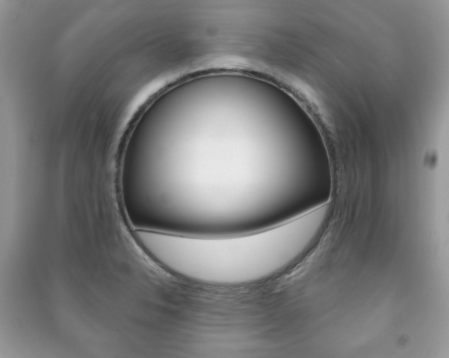 X0000091171326200708091015