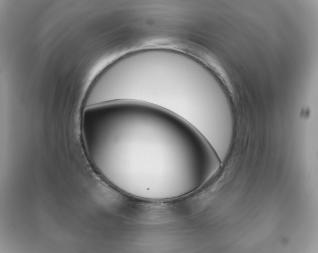 X0000091171328200708091015