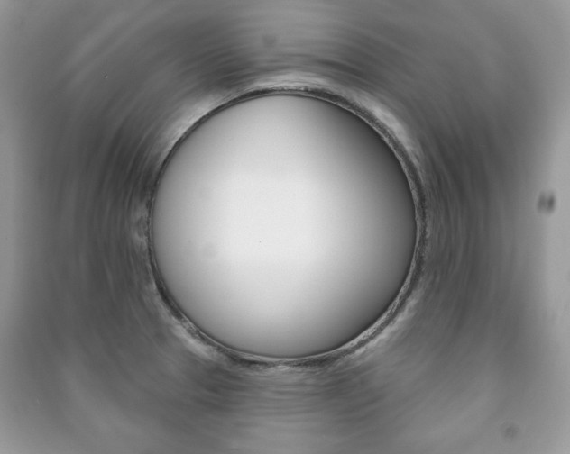 X0000091171329200708091015