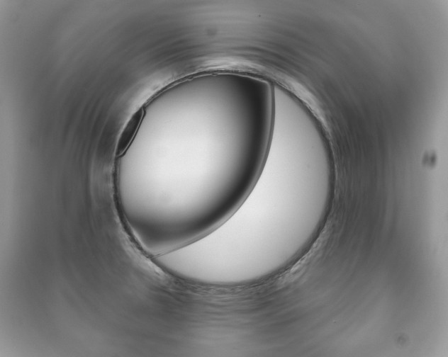 X0000091171330200708091015