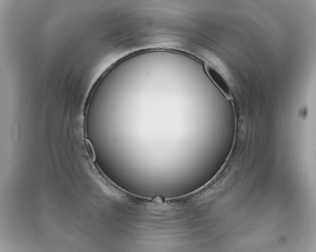X0000091171332200708091015