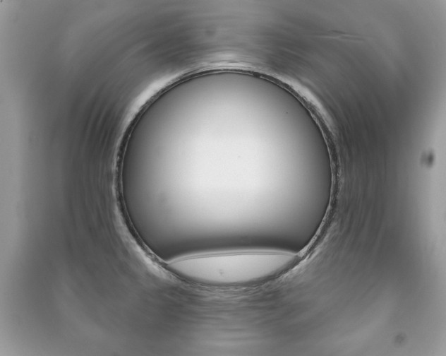 X0000091171333200708091015